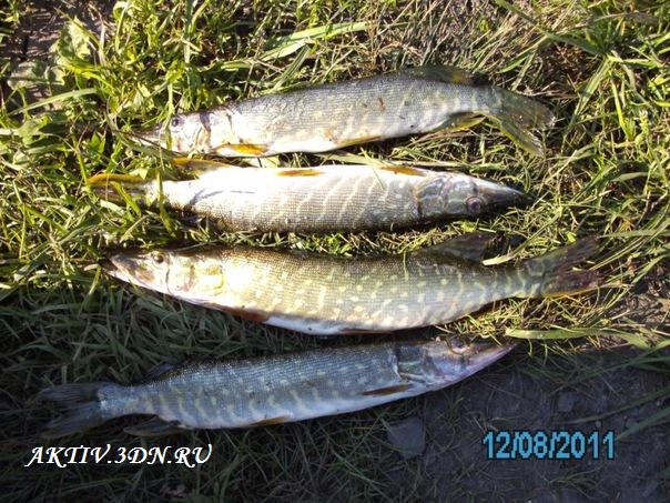 Рыбалка на озере Тыгиш. Свердловская область.