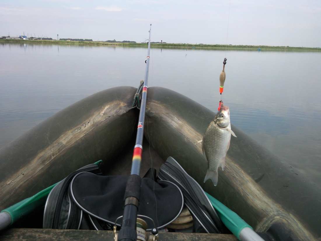 Челябинские озера какая рыба водится. Озеро Аткуль Челябинская область. Озеро Аткуль Челябинская область рыбалка. Аткуль рыбалка. Озеро Каинкуль рыбалка.